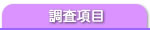 �������e�ڍ�