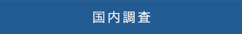 国内調査