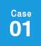 CASE01