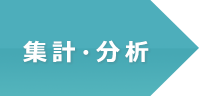 集計・分析